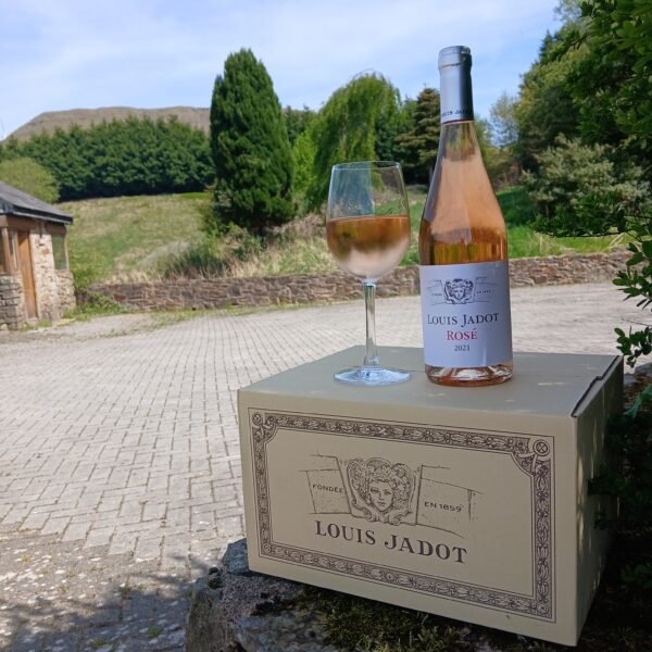 LOUIS JADOT ROSE 2021 (6 BOTTLES)