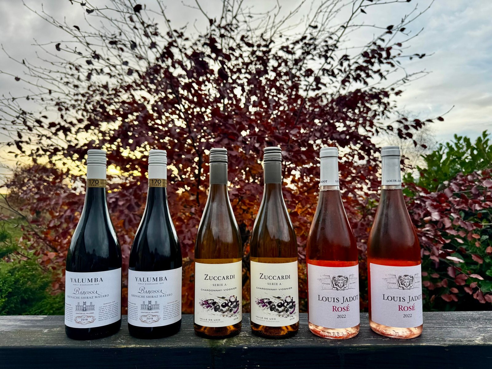 Red Wine Mixed Case (6 Bottles)